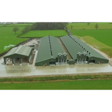 Qingdao Dao Manufacture Pre engineered Steel Structure Closed Poultry Farm System House Building